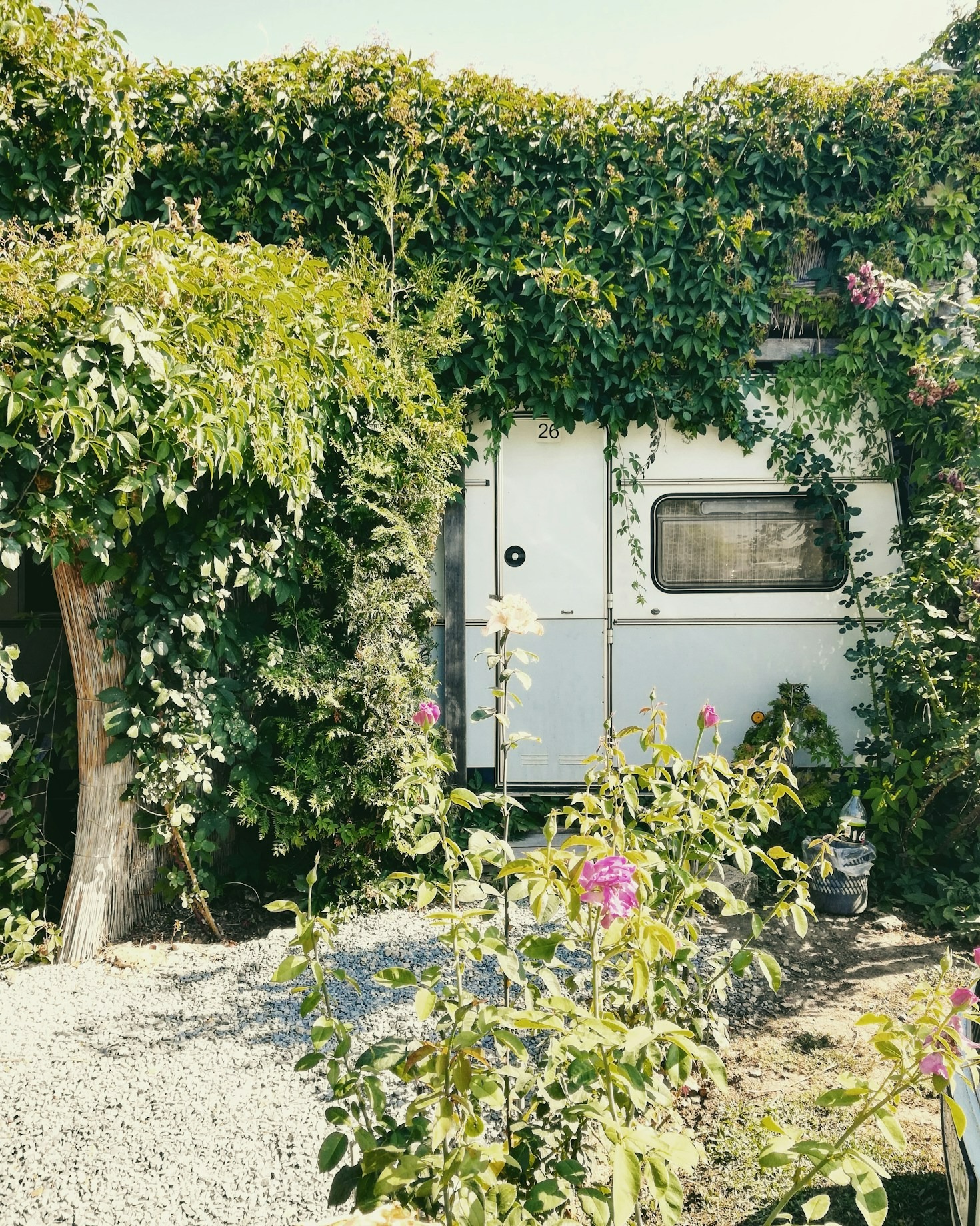 Top Benefits of Choosing Electric RVs